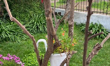 Maravillosa casa que conserva un estilo Unico - Independencia