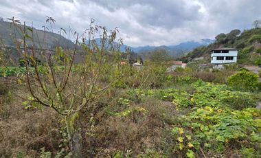 TERRENO EN PATATE