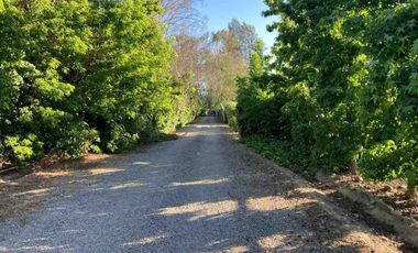 Venta Parcela 5000m2 Colonia Alemana Peñaflor