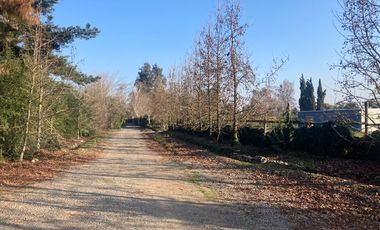 Venta Parcela 5000m2 Colonia Alemana Peñaflor