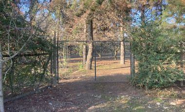 Venta Parcela 5000m2 Colonia Alemana Peñaflor