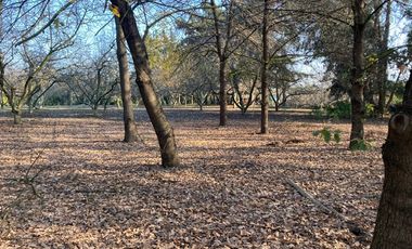 Venta Parcela 5000m2 Colonia Alemana Peñaflor