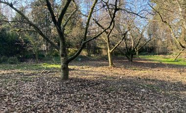 Venta Parcela 5000m2 Colonia Alemana Peñaflor