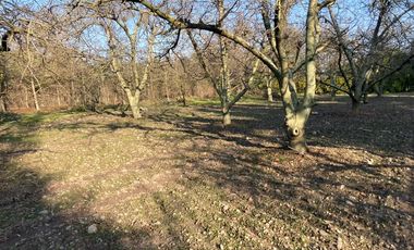 Venta Parcela 5000m2 Colonia Alemana Peñaflor