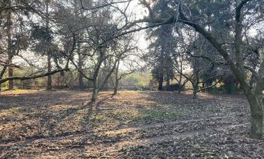 Venta Parcela 5000m2 Colonia Alemana Peñaflor
