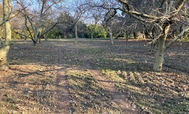 Venta Parcela 5000m2 Colonia Alemana Peñaflor