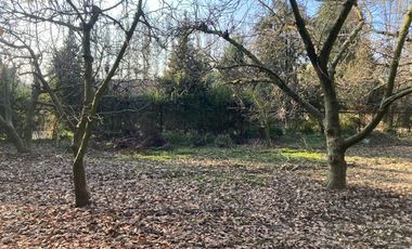 Venta Parcela 5000m2 Colonia Alemana Peñaflor