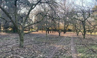 Venta Parcela 5000m2 Colonia Alemana Peñaflor