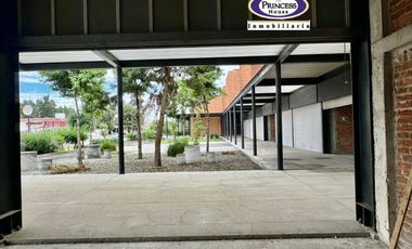PLAZA COMERCIAL EN VENTA, METEPEC-ZACANGO
