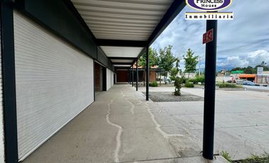 PLAZA COMERCIAL EN VENTA, METEPEC-ZACANGO