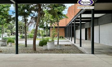 PLAZA COMERCIAL EN VENTA, METEPEC-ZACANGO