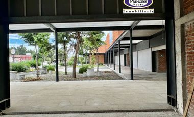 PLAZA COMERCIAL EN VENTA, METEPEC-ZACANGO