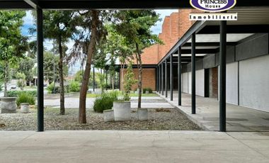 PLAZA COMERCIAL EN VENTA, METEPEC-ZACANGO