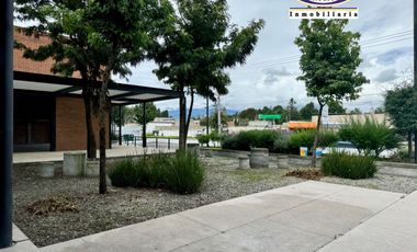 PLAZA COMERCIAL EN VENTA, METEPEC-ZACANGO