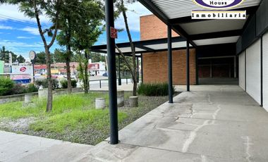 PLAZA COMERCIAL EN VENTA, METEPEC-ZACANGO