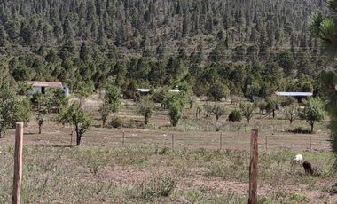 Cabaña en Venta en la Sierra de Arteaga, Coahuila a 4.2 km del Pueblo Mágico de Los Lirios