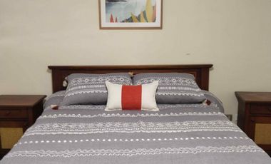 Arriendo Departamento 1 Dormitorio, Semi-Amoblado Metro Republica