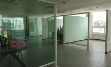 Oficina 246m2