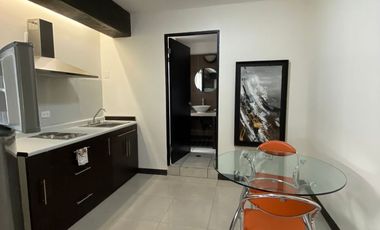 DEPARTAMENTO AMUEBLADO ECONOMICO