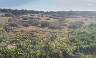 Venta De Terreno Gral. Felipe Angeles antes del hongo Carr Tecate Mexicali