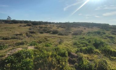 Venta De Terreno Gral. Felipe Angeles antes del hongo Carr Tecate Mexicali