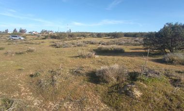 Venta De Terreno Gral. Felipe Angeles antes del hongo Carr Tecate Mexicali