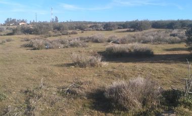 Venta De Terreno Gral. Felipe Angeles antes del hongo Carr Tecate Mexicali