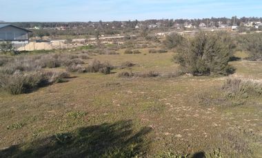 Venta De Terreno Gral. Felipe Angeles antes del hongo Carr Tecate Mexicali