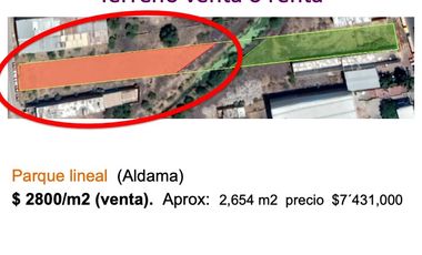 Terreno a la Renta  SAHUAYO   Aldama   parque Lineal Camino Real oportunidad