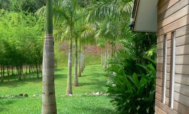 Luxury 5-Bedroom Villa on Impressive 25 Rai Oceanfront Plot