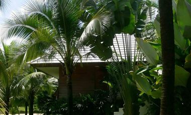 Luxury 5-Bedroom Villa on Impressive 25 Rai Oceanfront Plot