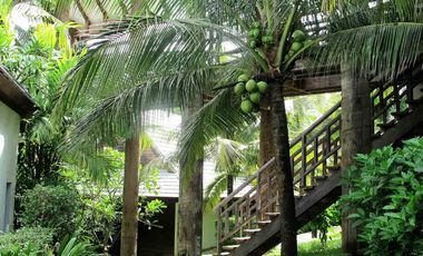 Luxury 5-Bedroom Villa on Impressive 25 Rai Oceanfront Plot