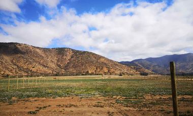 Venta Parcela Proyecto Tierra Calma, Padre Hurtado