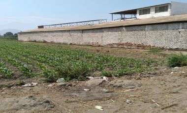VENDO LOCAL INDUSTRIAL DE 6000M2 EN EL PREDIO SANTA HELENA.VIRU- LA LIBERTAD -TRUJILLO