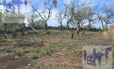 Se Vende Terreno Tepoztlán Morelos A 300 Metros Aprox Del Crucero De Santo Domingo
