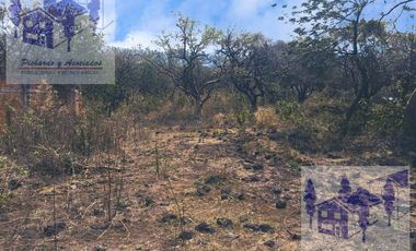Se Vende Terreno Tepoztlán Morelos A 300 Metros Aprox Del Crucero De Santo Domingo