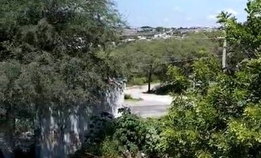 TERRENO EN EL LAGO DE TEQUESQUITENGO