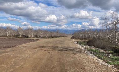 Venta Parcela 5000m2 Martina I, Lonquen