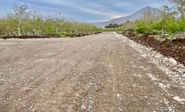 Venta Parcela 5000m2 Martina I, Lonquen