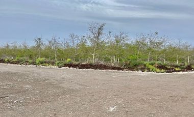 Venta Parcela 5000m2 Martina I, Lonquen