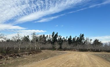 Venta Parcela 5000m2 Martina I, Lonquen