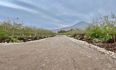 Venta Parcela 5000m2 Martina I, Lonquen
