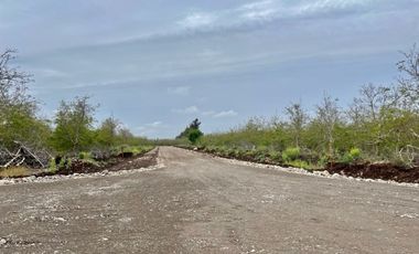 Venta Parcela 5000m2 Martina I, Lonquen