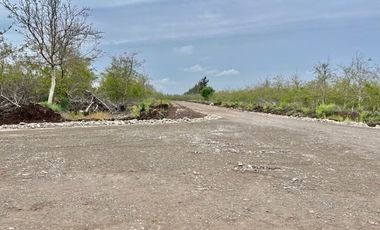 Venta Parcela 5000m2 Martina I, Lonquen