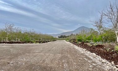 Venta Parcela 5000m2 Martina I, Lonquen