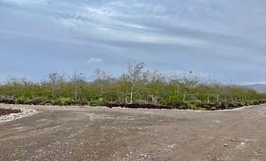 Venta Parcela 5000m2 Martina I, Lonquen