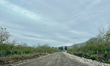 Venta Parcela 5000m2 Martina I, Lonquen