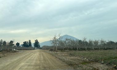 Venta Parcela 5000m2 Martina I, Lonquen