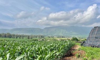 SE VENDE TERRENO EN IXTLAHUACAN DE LOS MEMBRILLOS