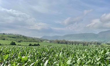 SE VENDE TERRENO EN IXTLAHUACAN DE LOS MEMBRILLOS